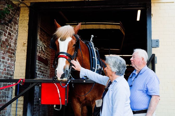 Historic Residential Horse Drawn Carriage Tour  image 6