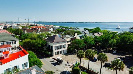 Historic Residential Horse Drawn Carriage Tour  image 2