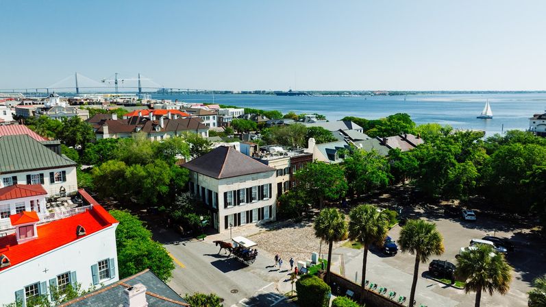 Historic Residential Horse Drawn Carriage Tour  image 2