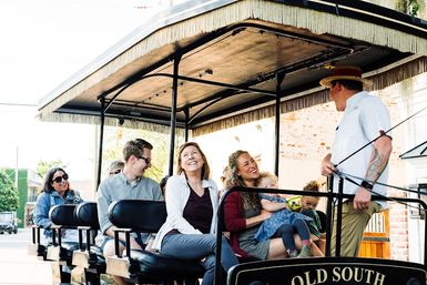 Historic Residential Horse Drawn Carriage Tour  image 5