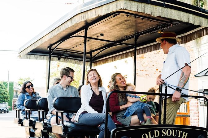 Historic Residential Horse Drawn Carriage Tour  image 5