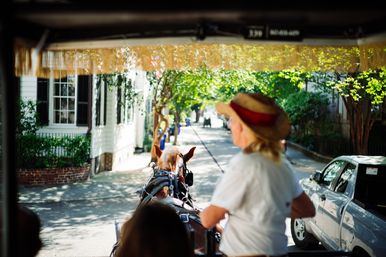 Historic Residential Horse Drawn Carriage Tour  image 3