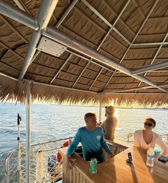 Private Tiki Tour: Snorkeling, Sunshine & Dolphin Spotting image 3