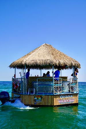 Private Tiki Tour: Snorkeling, Sunshine & Dolphin Spotting image 6