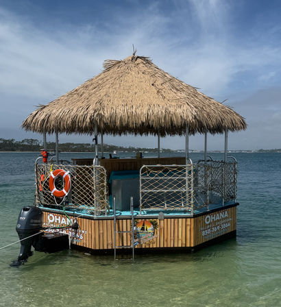 Private Tiki Tour: Snorkeling, Sunshine & Dolphin Spotting image 7
