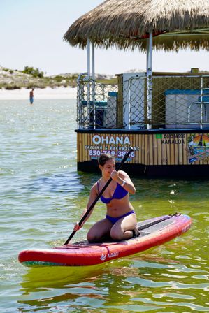 Private Tiki Tour: Snorkeling, Sunshine & Dolphin Spotting image 5