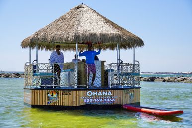 Private Tiki Tour: Snorkeling, Sunshine & Dolphin Spotting image