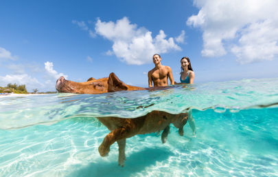 Sandy Toes: Rose Island All-Inclusive Day Tour with Swimming Pigs image