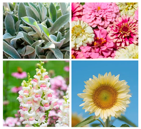 Flower Farm Fun: Insta-Worthy Garden Tea Party or Pick Your Own Flowers & Create a Flower Crown image 3