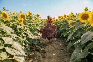 Flower Farm Fun: Insta-Worthy Garden Tea Party or Pick Your Own Flowers & Create a Flower Crown image 5