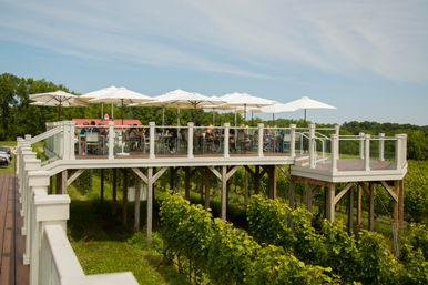 Private Winery & Brewery Tours with Brew Bus image 6