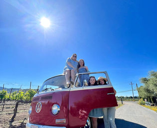 Tour Wine Country In A Vintage VW Bus image 9