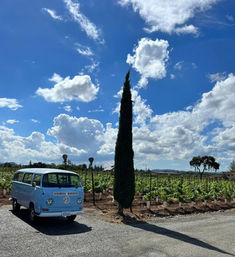 Tour Wine Country In A Vintage VW Bus image 5