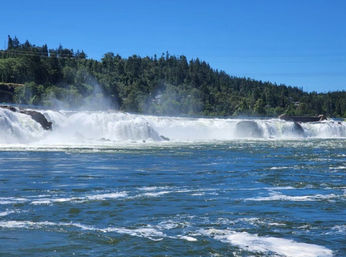 Willamette Falls Private BYOB Boat Tour (Up to 6 Passengers) image 14