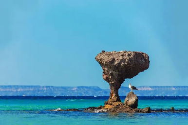 La Paz Full Day Sightseeing Tour: Visit Balandra & Coromel Beaches + Hotel California image 4