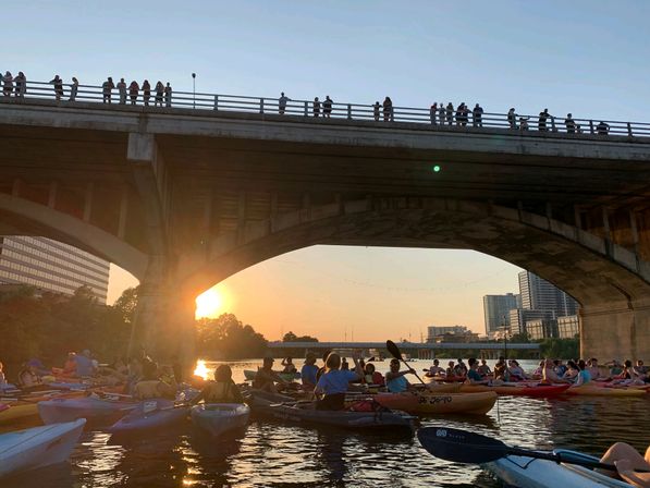 Iconic Bat Bridge Kayak Tour with City Skyline and Experienced Tour Guide image 6