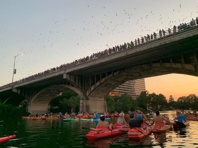 Iconic Bat Bridge Kayak Tour with City Skyline and Experienced Tour Guide image 4