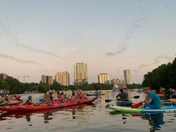 Iconic Bat Bridge Kayak Tour with City Skyline and Experienced Tour Guide image 3