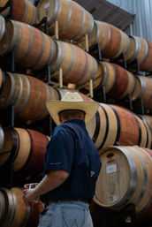 Wine & Cheese Pairing Experience by 830 Elevated Wine Tours image 6