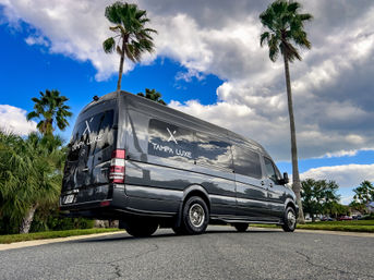 Tampa Luxe: Custom VIP Nightlife Experience image 8