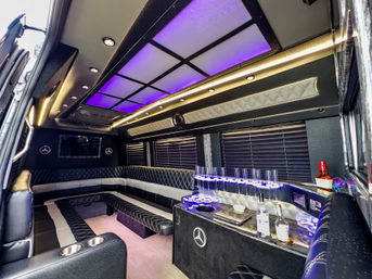 Tampa Luxe: Custom VIP Nightlife Experience image 7