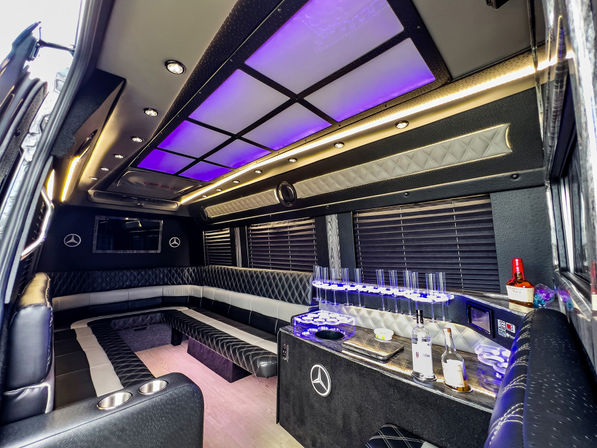 Tampa Luxe: Custom VIP Nightlife Experience image 7