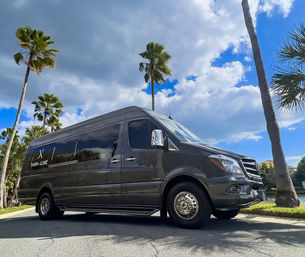 Tampa Luxe: Custom VIP Nightlife Experience image 9