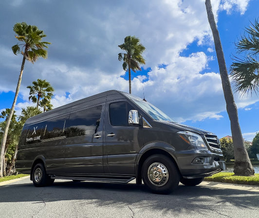 Tampa Luxe: Custom VIP Nightlife Experience image 9