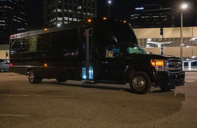Tampa Luxe: Custom VIP Nightlife Experience image 13