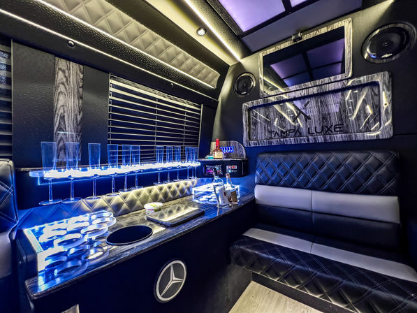 Tampa Luxe: Custom VIP Nightlife Experience image 5