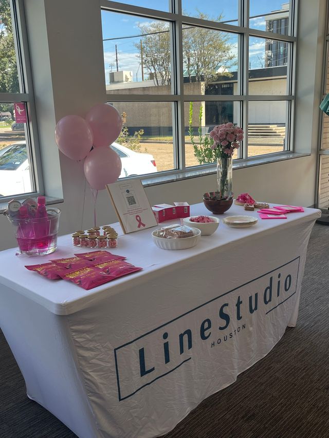 LineStudio Houston: Pilates Birthday Party image 4