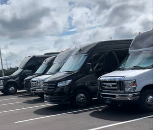 Luxury Party Bus Rental: Elegant Group Transportation  image 4