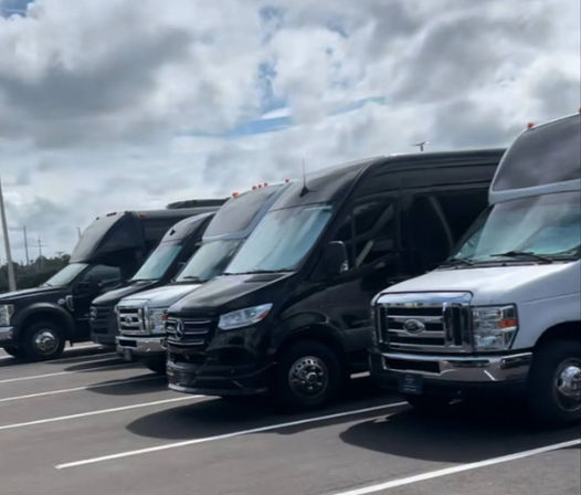 Luxury Party Bus Rental: Elegant Group Transportation  image 4