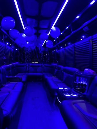 Luxury Party Bus Rental: Elegant Group Transportation  image 5