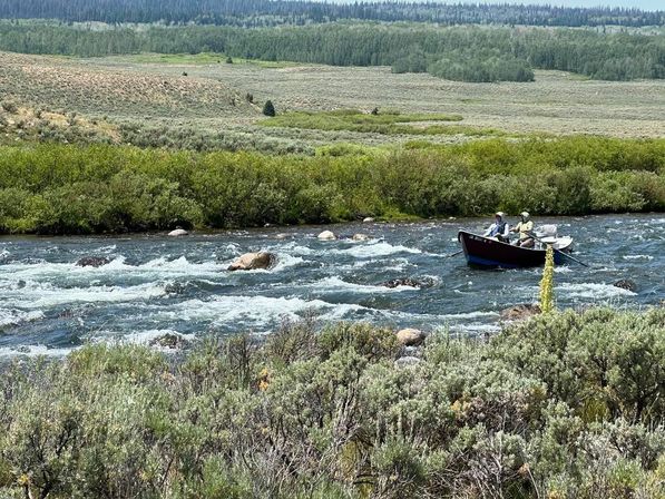 Guided Fly Fishing Experience with Jackson Hole Anglers image 6