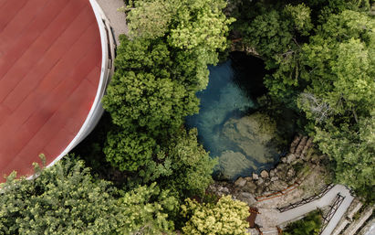 Casa Adora: Private Sanctuary with Exclusive Cenote Access image 20