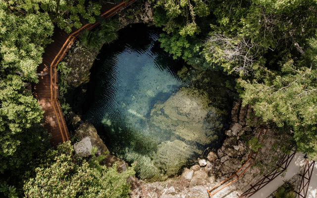 Casa Adora: Private Sanctuary with Exclusive Cenote Access image 4