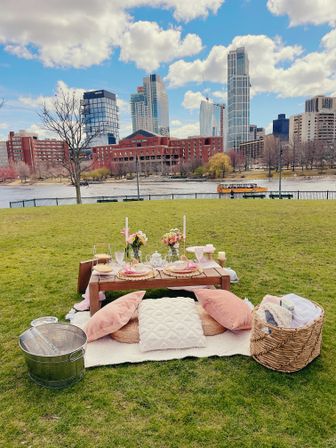 Boston's Ultimate Luxury Picnic Experience with 300+ Past Experiences and 5-Star Review image 3