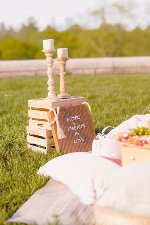 Boston's Ultimate Luxury Picnic Experience with 300+ Past Experiences and 5-Star Review image 29