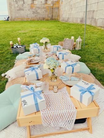 Boston's Ultimate Luxury Picnic Experience with 300+ Past Experiences and 5-Star Review image 34