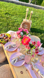 Boston's Ultimate Luxury Picnic Experience with 300+ Past Experiences and 5-Star Review image 33