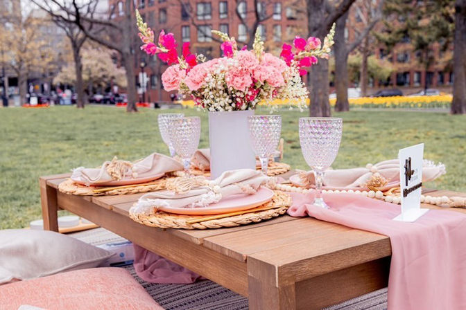 Boston's Ultimate Luxury Picnic Experience with 300+ Past Experiences and 5-Star Review image 50