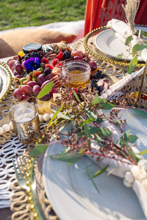 Boston's Ultimate Luxury Picnic Experience with 300+ Past Experiences and 5-Star Review image 45