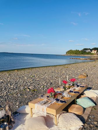 Boston's Ultimate Luxury Picnic Experience with 300+ Past Experiences and 5-Star Review image 21