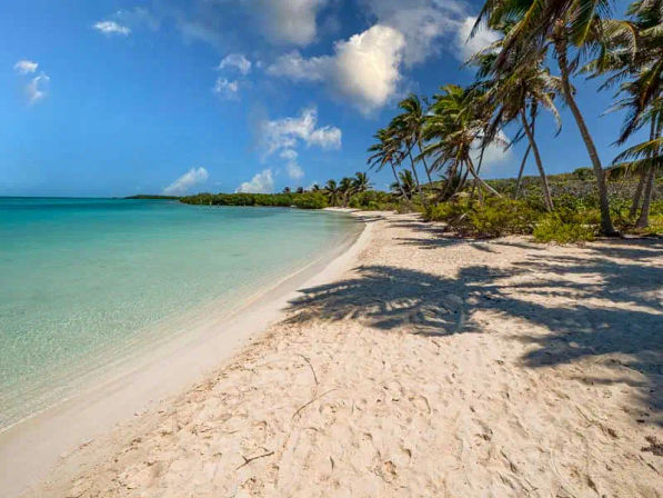 Isla Contoy Nature Experience: Guided Day Tour with Snorkeling, Isla Mujeres Visit + Lunch image 4