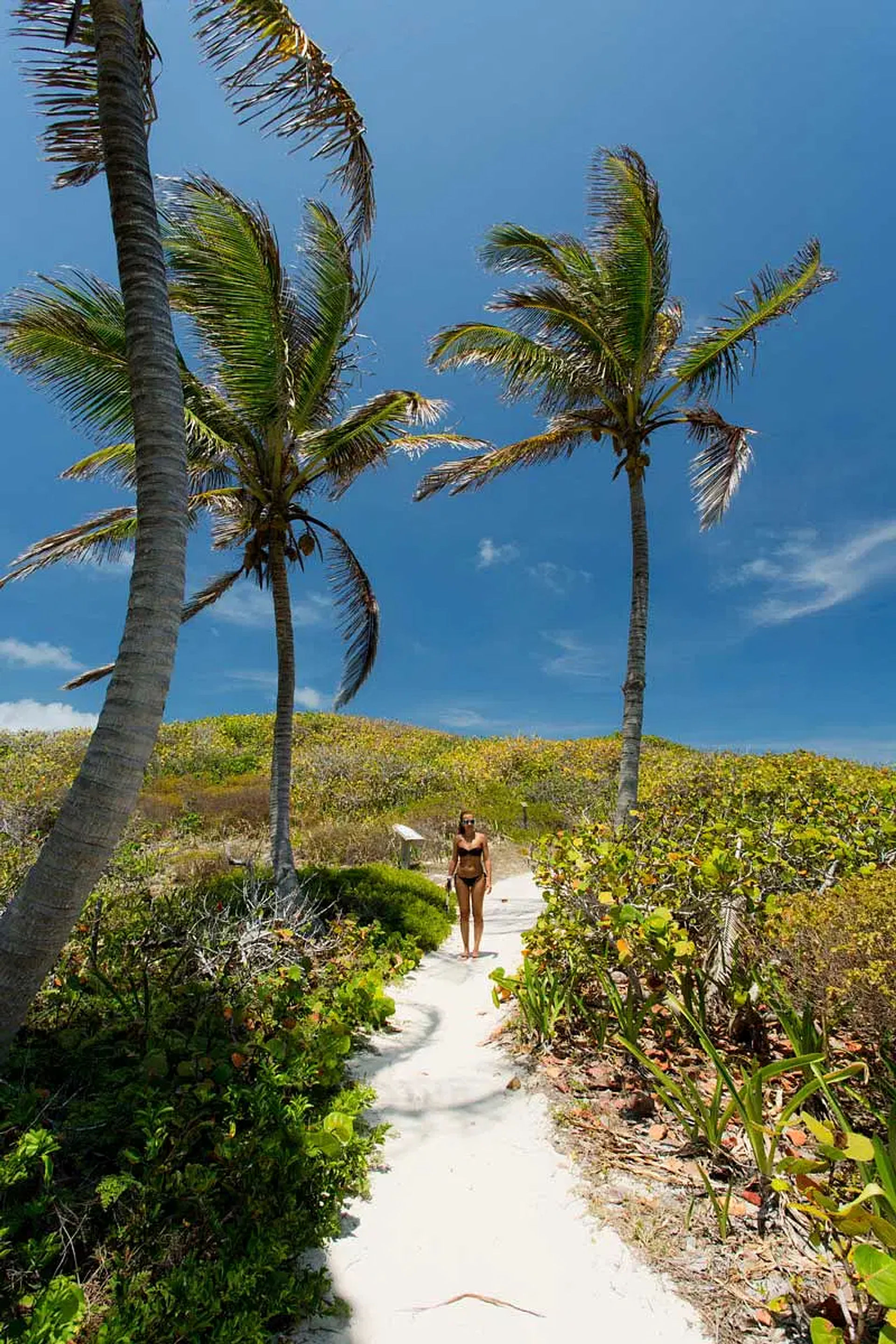 Isla Contoy Nature Experience: Guided Day Tour with Snorkeling, Isla Mujeres Visit + Lunch image 2