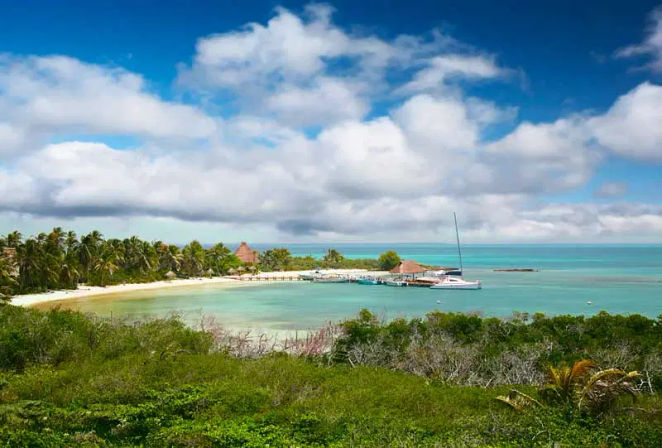 Isla Contoy Nature Experience: Guided Day Tour with Snorkeling, Isla Mujeres Visit + Lunch image 6