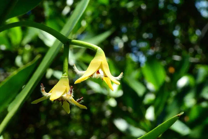 Isla Contoy Nature Experience: Guided Day Tour with Snorkeling, Isla Mujeres Visit + Lunch image 8