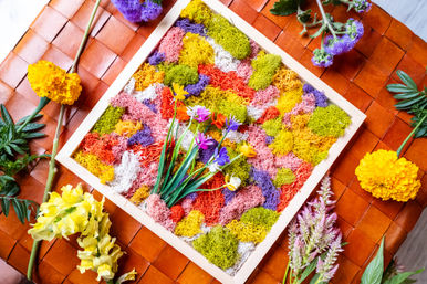 Create-Your-Own Preserved Moss Wall Art Workshop - No Maintenance Required! image 8