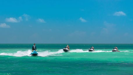 Guided Jet Ski Tour with Wildlife & Scenic Stops image 2